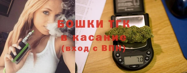 стаф Абинск