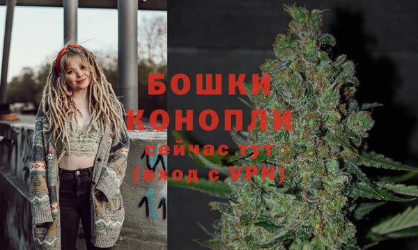 СК Саяногорск
