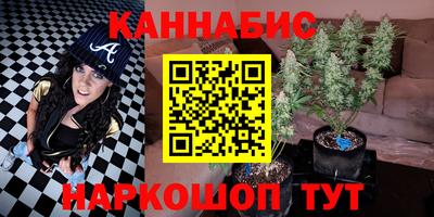 мяу мяу мука Кизилюрт